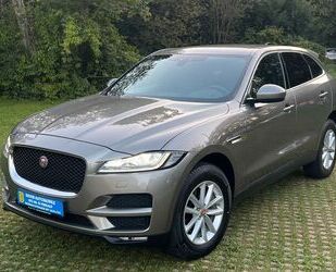 Jaguar F-Pace Gebrauchtwagen