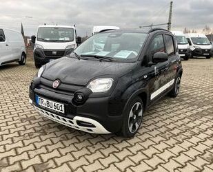 Fiat Panda Gebrauchtwagen