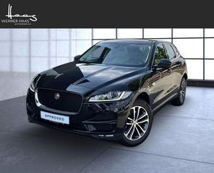 Jaguar F-Pace Gebrauchtwagen