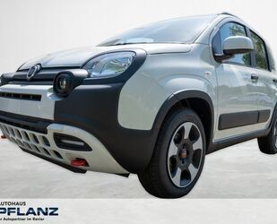 Fiat Panda Gebrauchtwagen