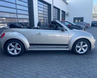 VW Beetle Gebrauchtwagen