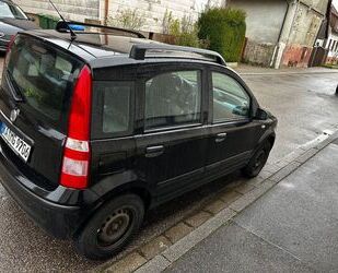 Fiat Panda Gebrauchtwagen