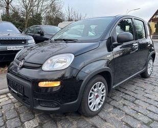 Fiat Panda Gebrauchtwagen