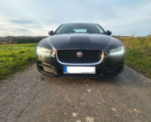 Jaguar XE Gebrauchtwagen