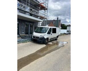 Fiat Ducato Gebrauchtwagen