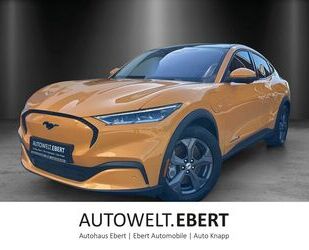 Ford Mustang Mach-E Gebrauchtwagen