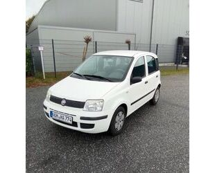 Fiat Panda Gebrauchtwagen