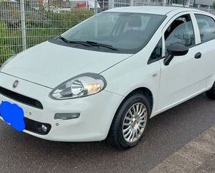 Fiat Punto Gebrauchtwagen
