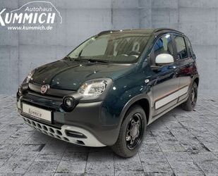 Fiat Panda Gebrauchtwagen