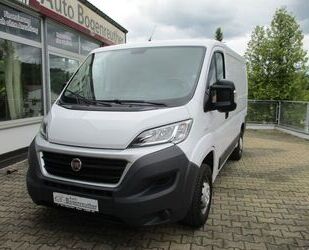 Fiat Ducato Gebrauchtwagen