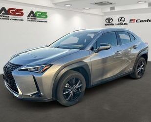 Lexus UX Gebrauchtwagen
