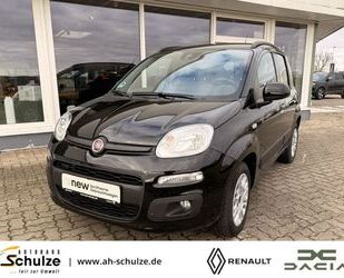 Fiat Panda Gebrauchtwagen