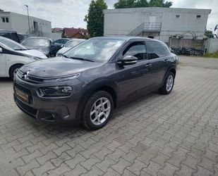 Citroen C4 Cactus Gebrauchtwagen