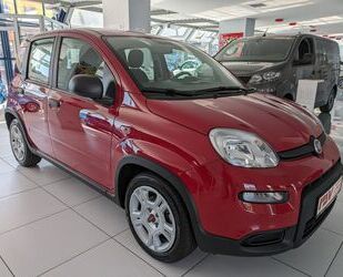 Fiat Panda Gebrauchtwagen