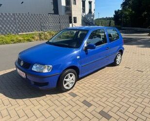 VW Polo Gebrauchtwagen