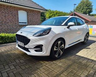 Ford Puma Gebrauchtwagen