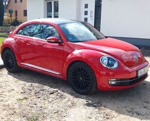 VW Beetle Gebrauchtwagen