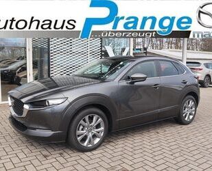 Mazda CX-30 Gebrauchtwagen