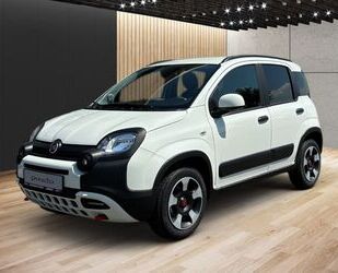 Fiat Panda Gebrauchtwagen