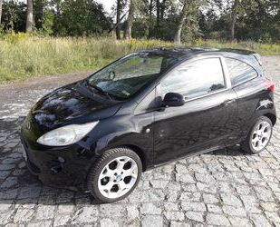 Ford Ka/Ka+ Gebrauchtwagen