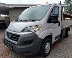 Fiat Ducato Gebrauchtwagen