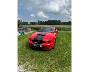 Ford Mustang Gebrauchtwagen