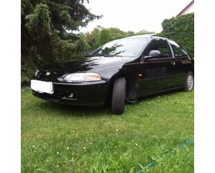 Honda Civic Gebrauchtwagen