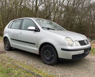 VW Polo Gebrauchtwagen