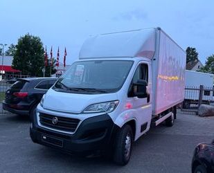 Fiat Ducato Gebrauchtwagen