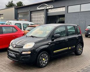 Fiat Panda Gebrauchtwagen