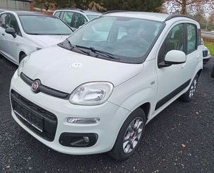 Fiat Panda Gebrauchtwagen