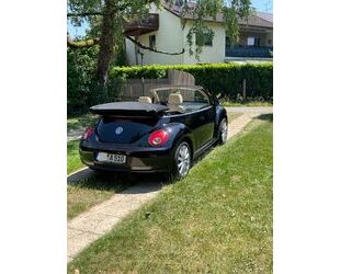 VW Beetle Gebrauchtwagen
