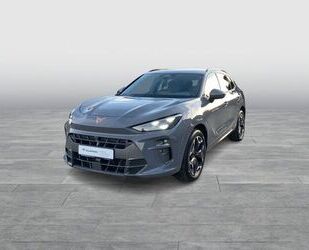 Cupra Terramar Gebrauchtwagen