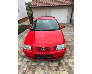VW Polo Gebrauchtwagen
