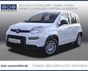 Fiat Panda Gebrauchtwagen