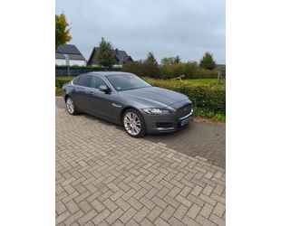 Jaguar XF Gebrauchtwagen