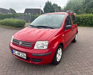 Fiat Panda Gebrauchtwagen