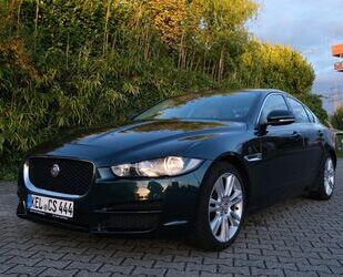 Jaguar XE Gebrauchtwagen