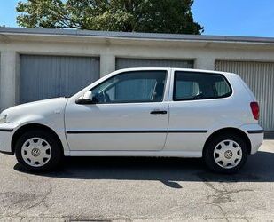 VW Polo Gebrauchtwagen