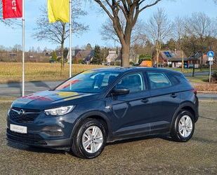 Opel Grandland (X) Gebrauchtwagen