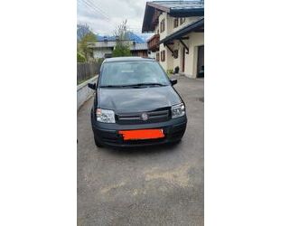 Fiat Panda Gebrauchtwagen