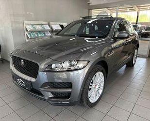 Jaguar F-Pace Gebrauchtwagen