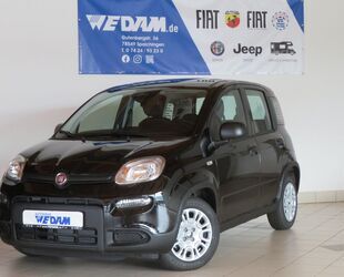 Fiat Panda Gebrauchtwagen