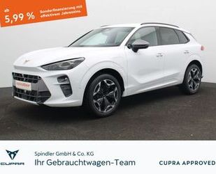 Cupra Terramar Gebrauchtwagen