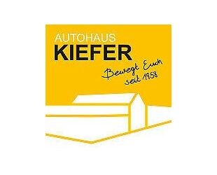 Renault ZOE Gebrauchtwagen