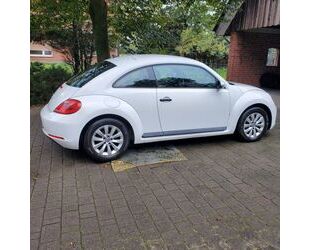 VW Beetle Gebrauchtwagen