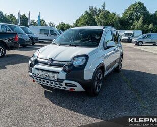 Fiat Panda Gebrauchtwagen
