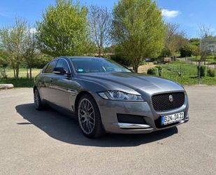 Jaguar XF Gebrauchtwagen