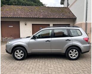 Subaru Forester Gebrauchtwagen
