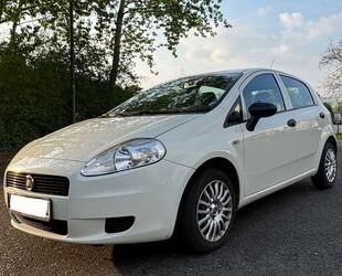 Fiat Punto Gebrauchtwagen